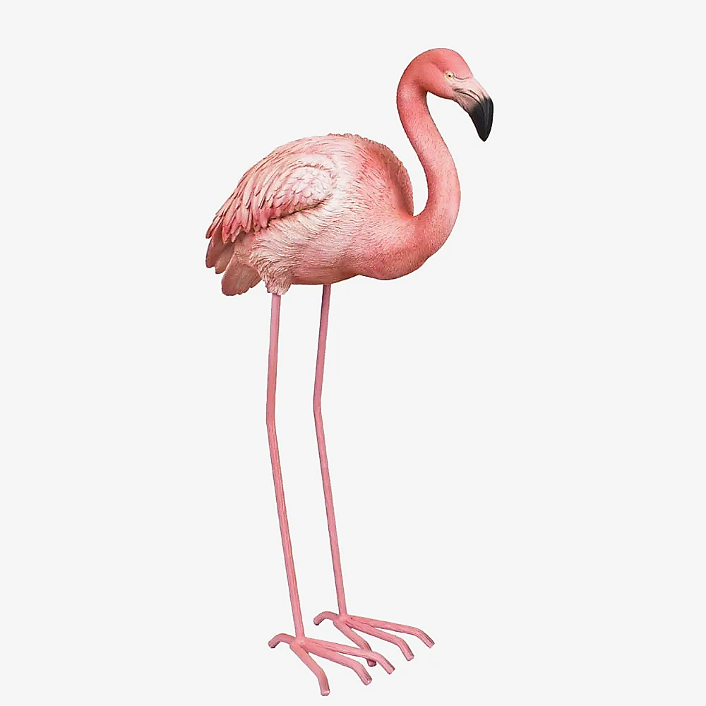 Aksesuar Flamingo