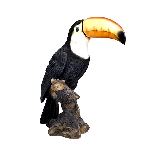 Aksesuar Toucan