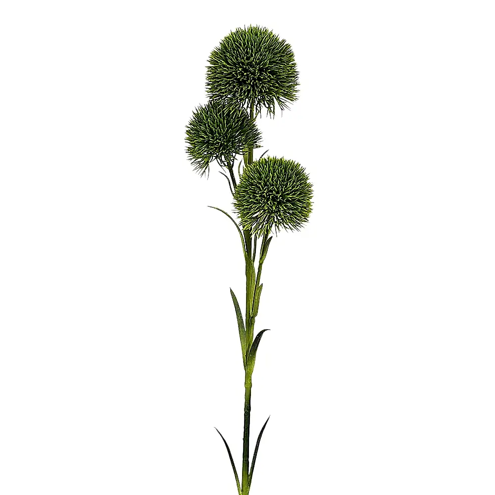 Chestnut Allium