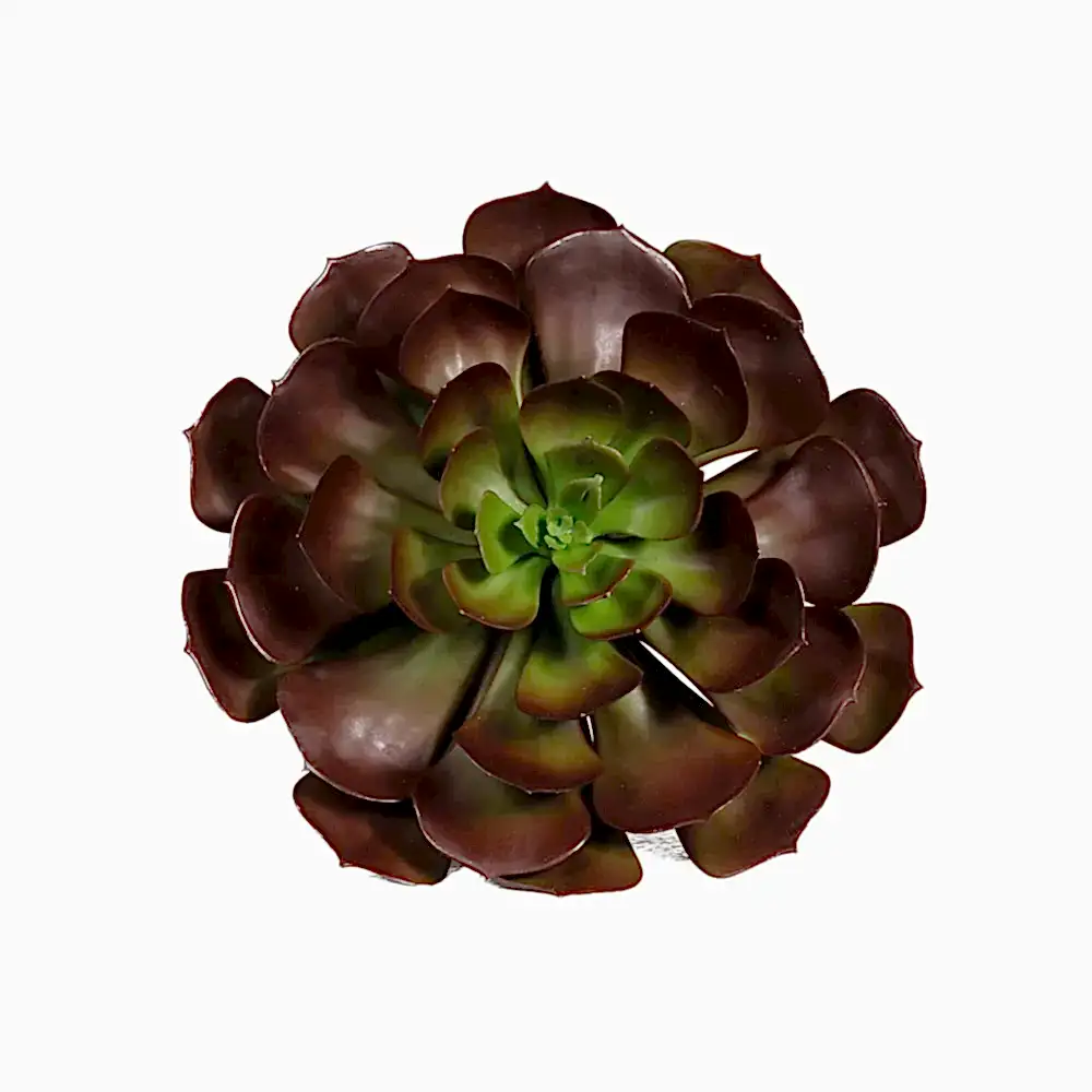 Yapay Echeveria Sukulent (30cm)