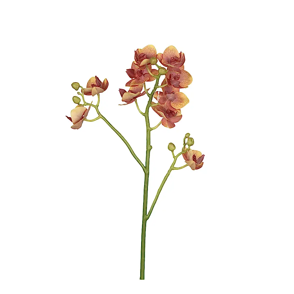 Yapay Islak Dokulu Mini Orkide - Phalaenopsis