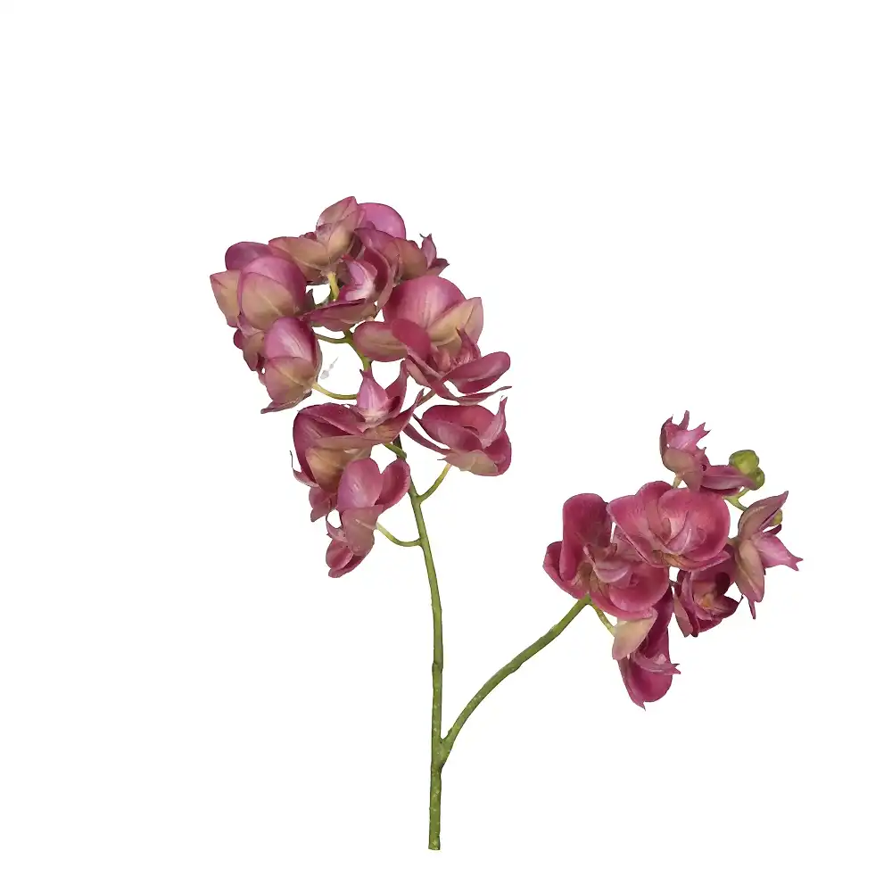 Yapay Islak Dokulu Orkide Çiçeği - Phalaenopsis