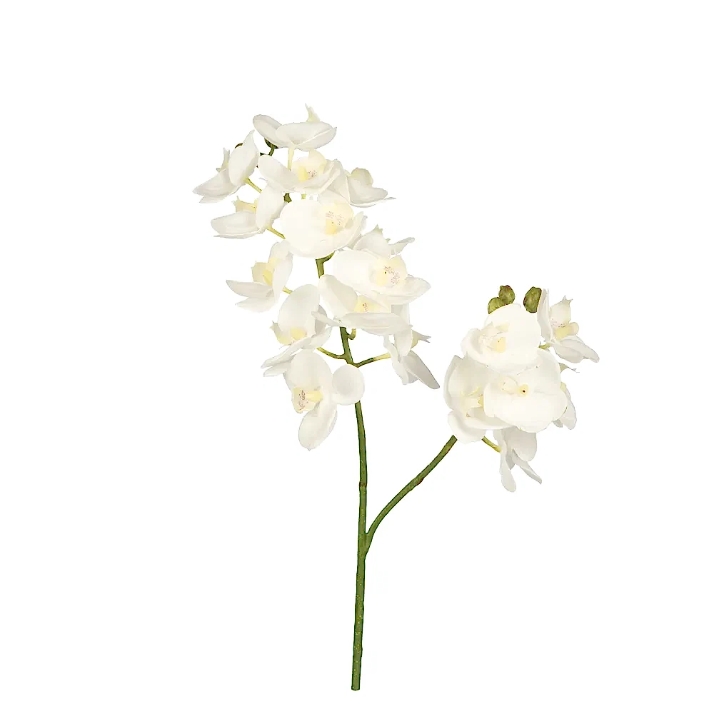 Yapay Islak Dokulu Orkide Çiçeği - Phalaenopsis