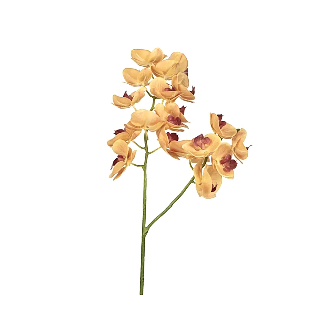 Yapay Islak Dokulu Orkide Çiçeği - Phalaenopsis