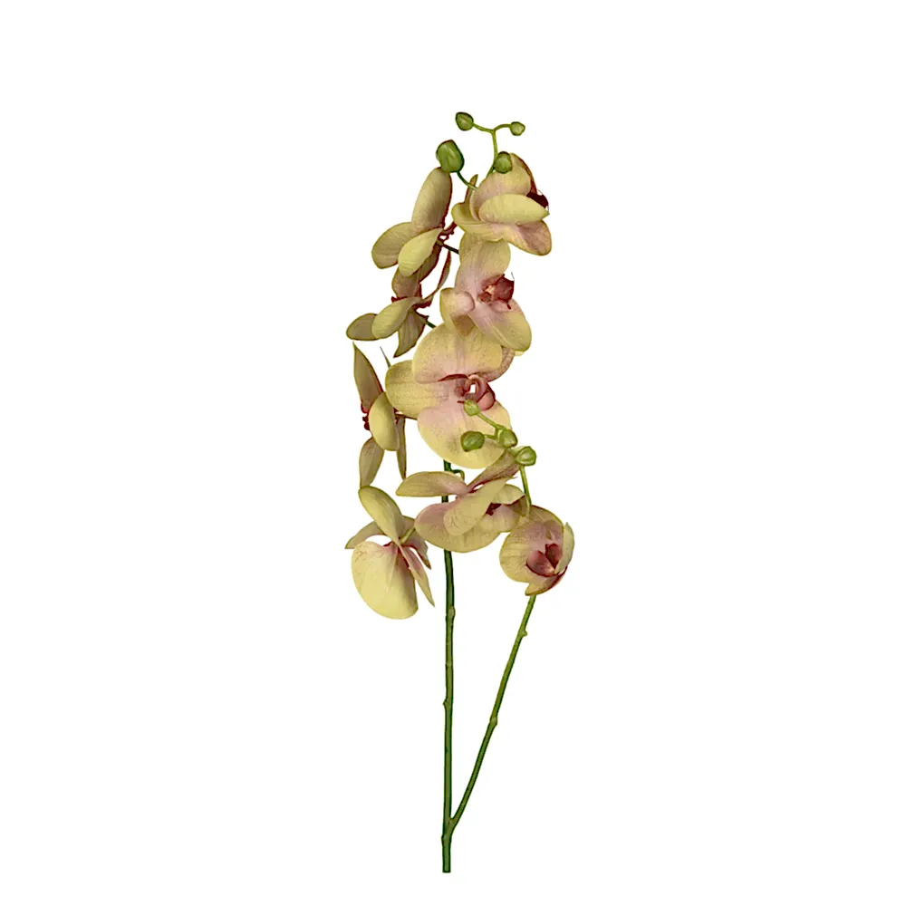 Yapay Islak Dokulu Çiçek -  Phalaenopsis Orkide (65cm)