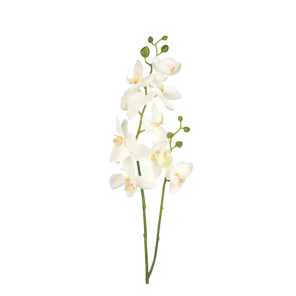 Yapay Islak Dokulu Çiçek -  Phalaenopsis Orkide (65cm)