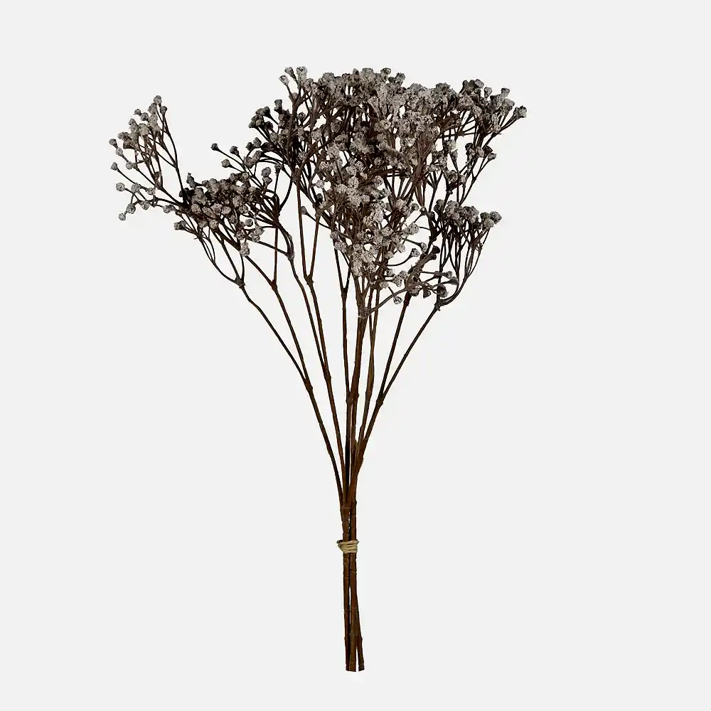 Gypsophila Spray Bundle