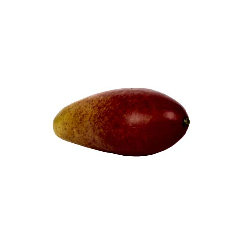 Yapay Mango (16cm)