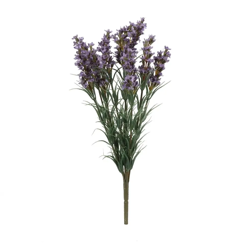 Lavender Bush