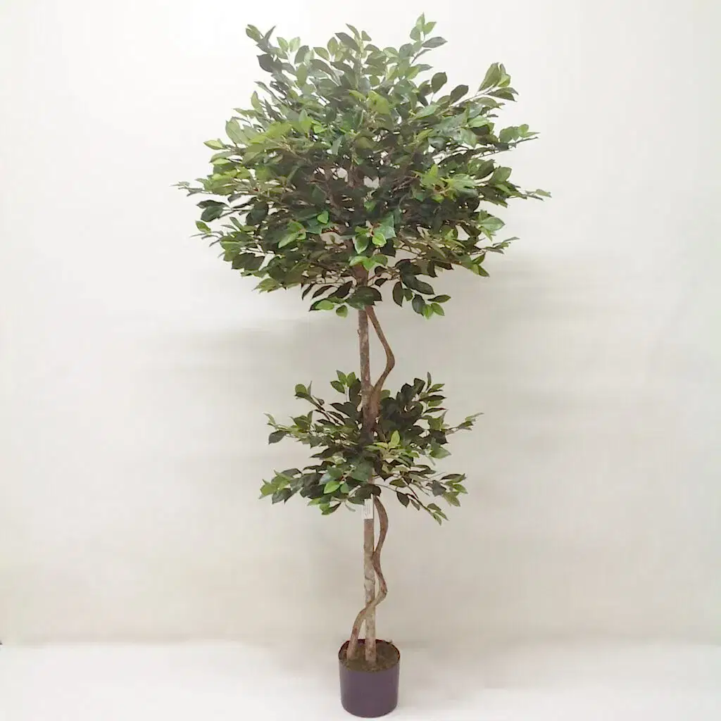 Yapay Ficus Ağacı - Retusa (180cm)