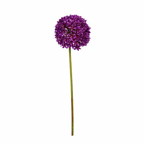 Allium Spray