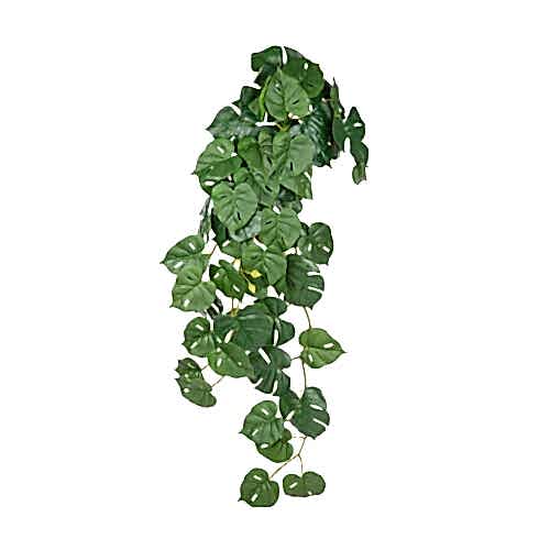 Yapay Monstera Sarmaşık 85 Cm