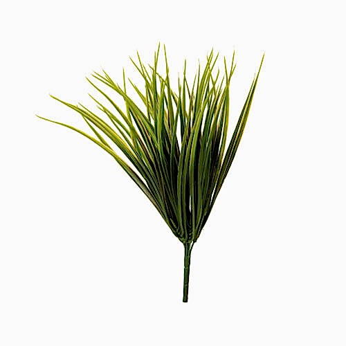 Grass Bush