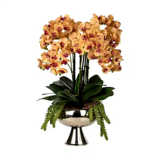 Metal Ayaklı Saksıda Phalaenopsis Orkide Aranjman