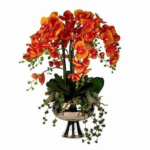 Metal Ayaklı Saksıda Phalaenopsis Orkide Aranjman