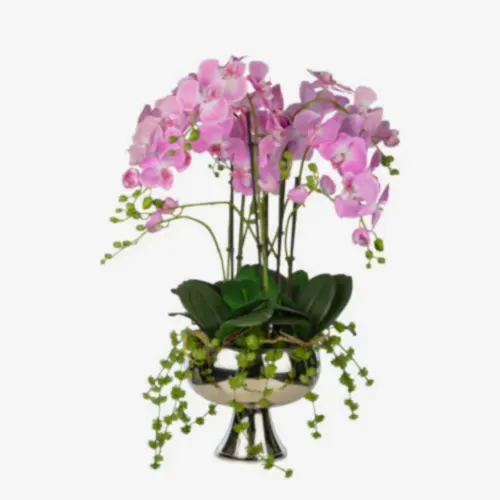 Metal Ayaklı Saksıda Phalaenopsis Orkide Aranjman