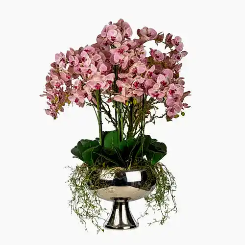 Metal Ayaklı Saksıda Phalaenopsis Orkide Aranjman