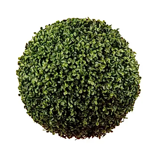 Boxwood Ball (50cm)