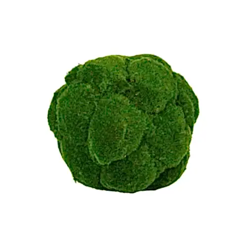 Moss Ball (23cm)