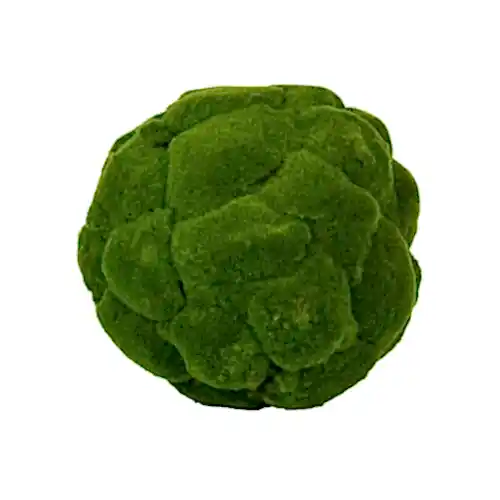 Moss Ball (30cm)